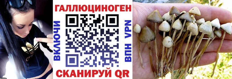 Галлюциногенные грибы Magic Shrooms  kraken   сайты даркнета состав  Сокол 